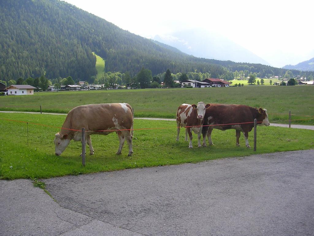 Gaestehaus Bodnerlehen Hotel Schönau am Königssee Стая снимка